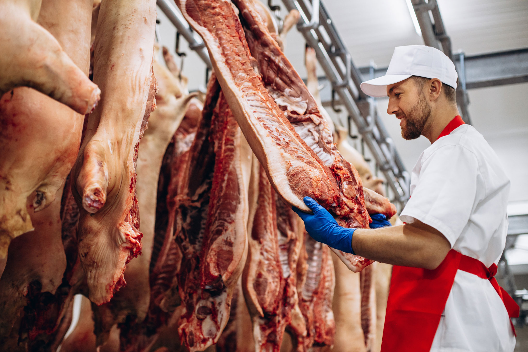 a man inspects butchered meat